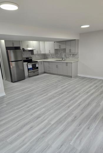 Basement Renovation